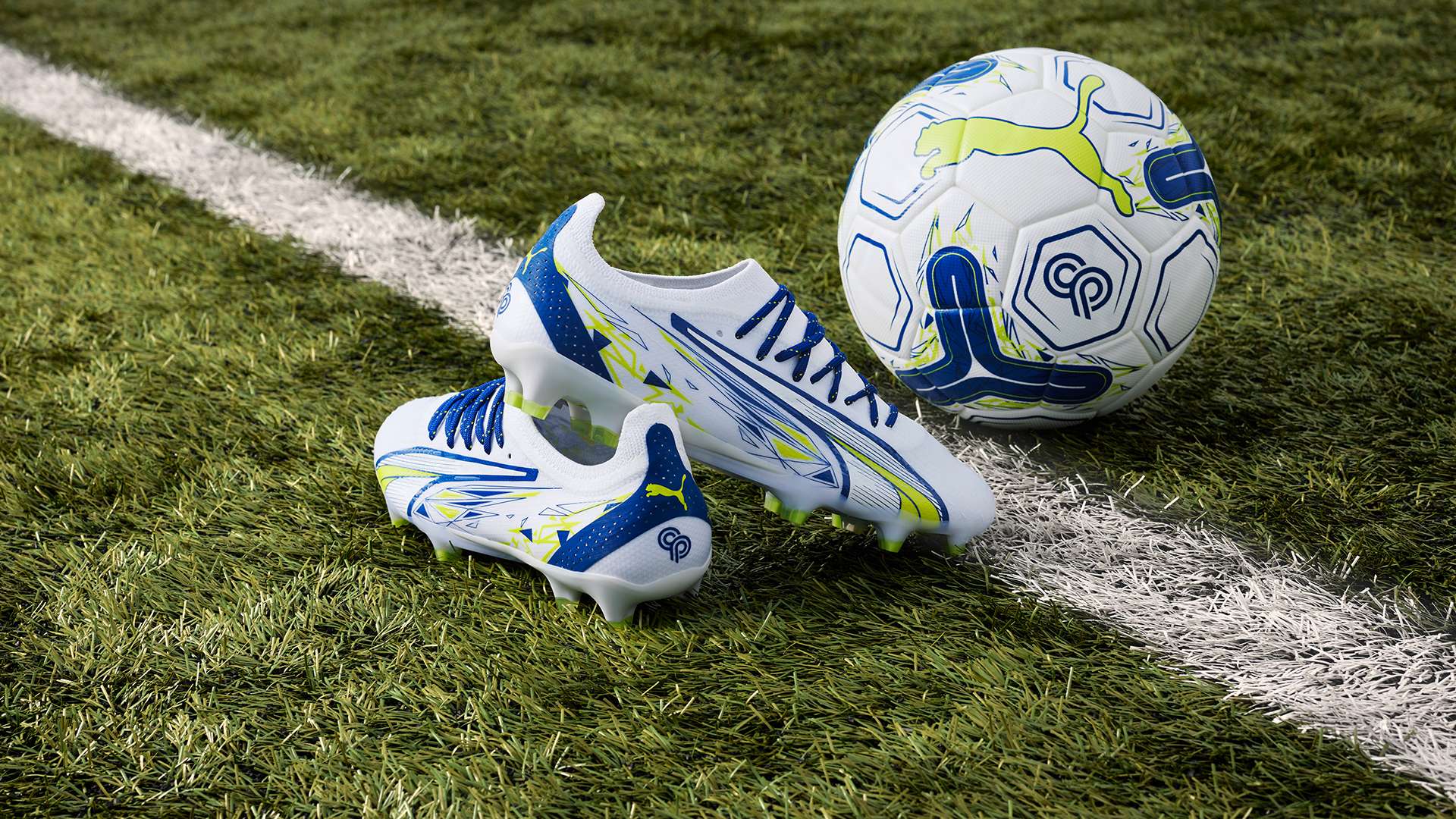 了更为专业 了更为专业